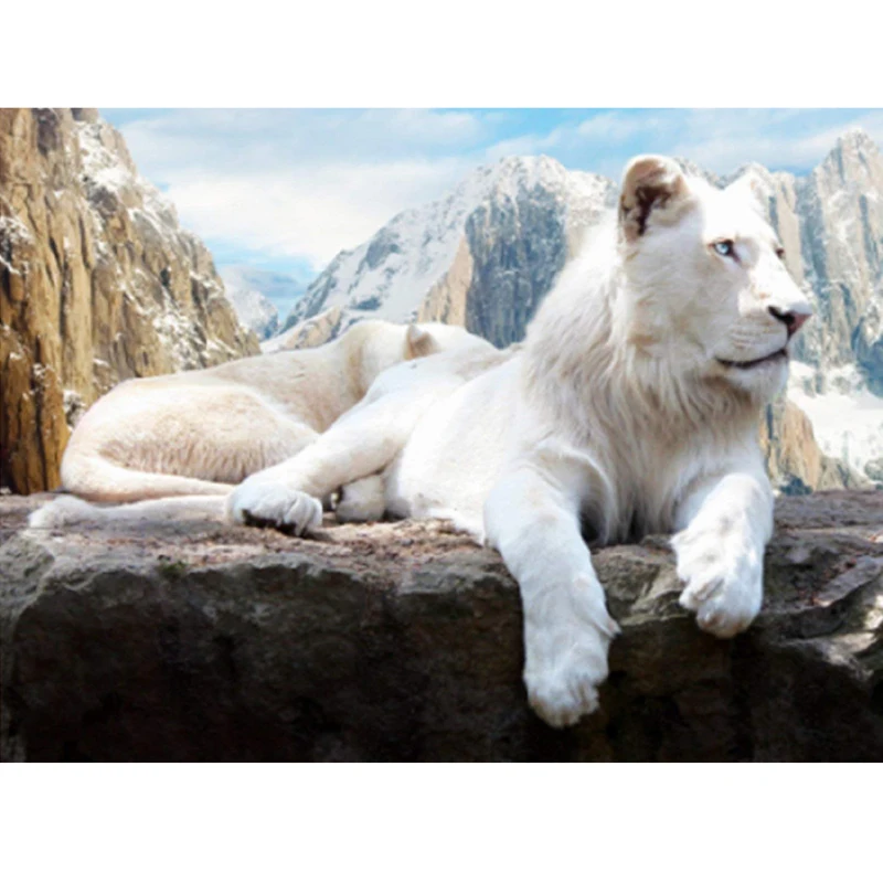 Venta al por mayor imagenes de leones blancos-Compre online los mejores