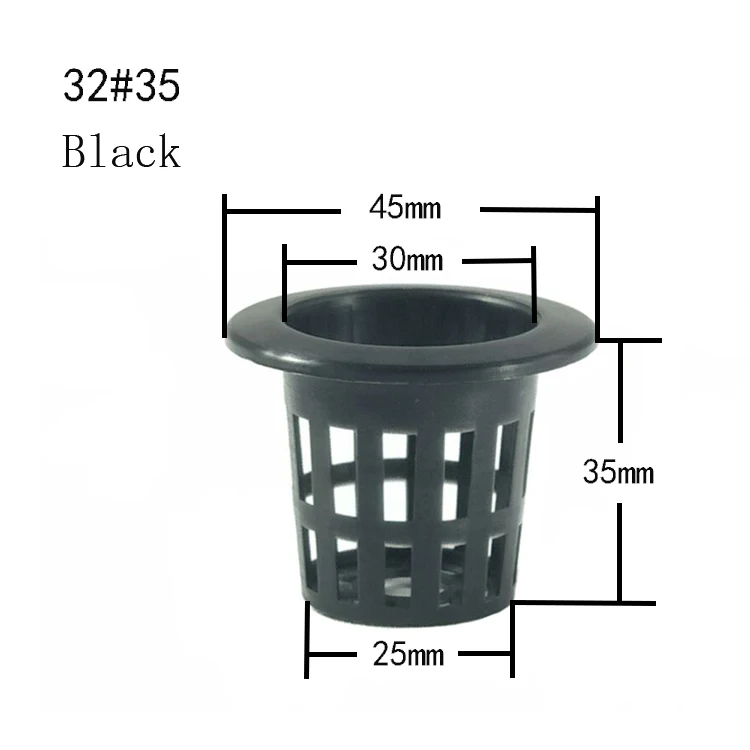 32#35  chicunt.jpg