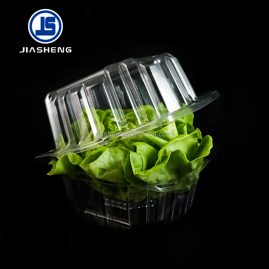 Disposable Pet Plastic Blister Crisp Lettuce Clamshell Buy Plastic