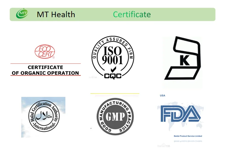 Certificate MT1.png