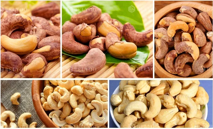 High efficiency automatic cashew nut kernel skin removing peeler cashew peeling machine