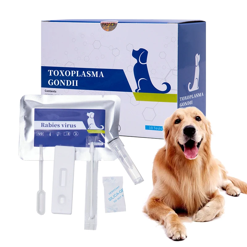 High Accuracy Rabies Antigen Test Kit Test For Rabies In Dogs Buy