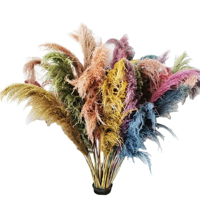 amazon top seller decoration dried flowers dyeing pampas grass