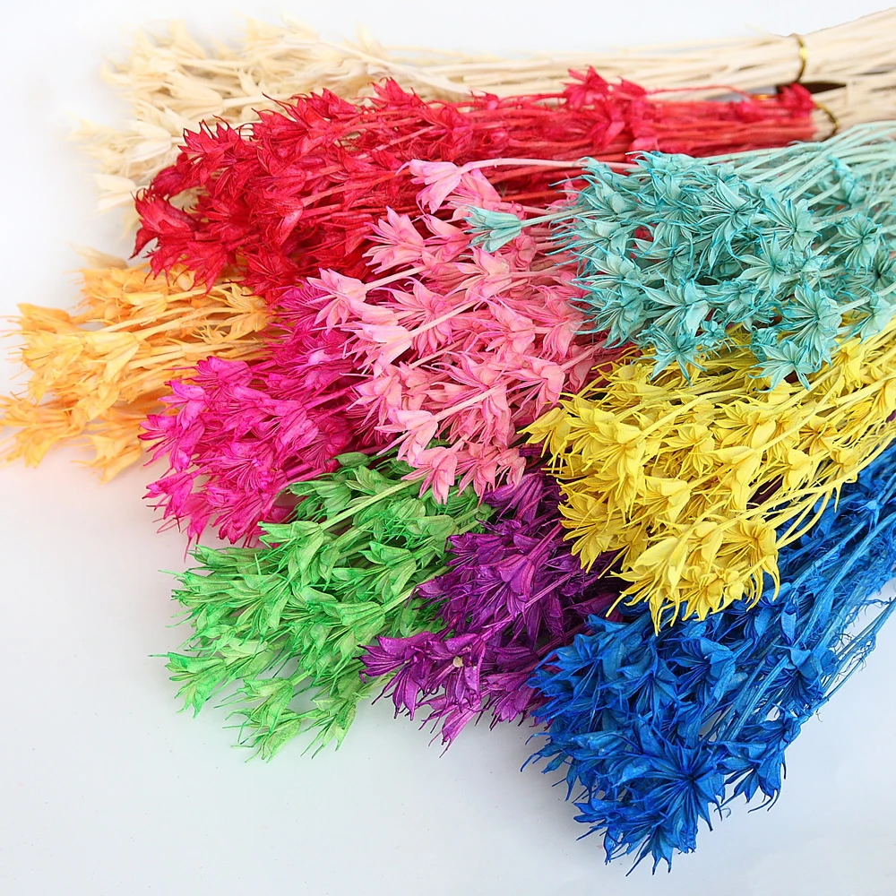 Wholesale Preserved Wall Moss Letters Box Lichen Stabilized Irish Moss