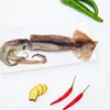 Frozen Illex Squid with size 150-200g