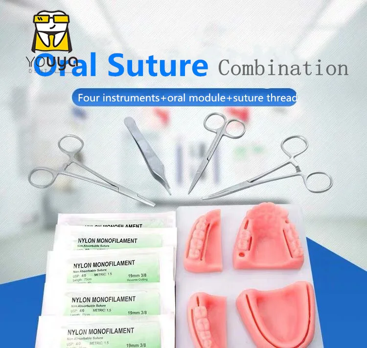 New Suture Practice Kit For Dental Training,Simulated Human Dental