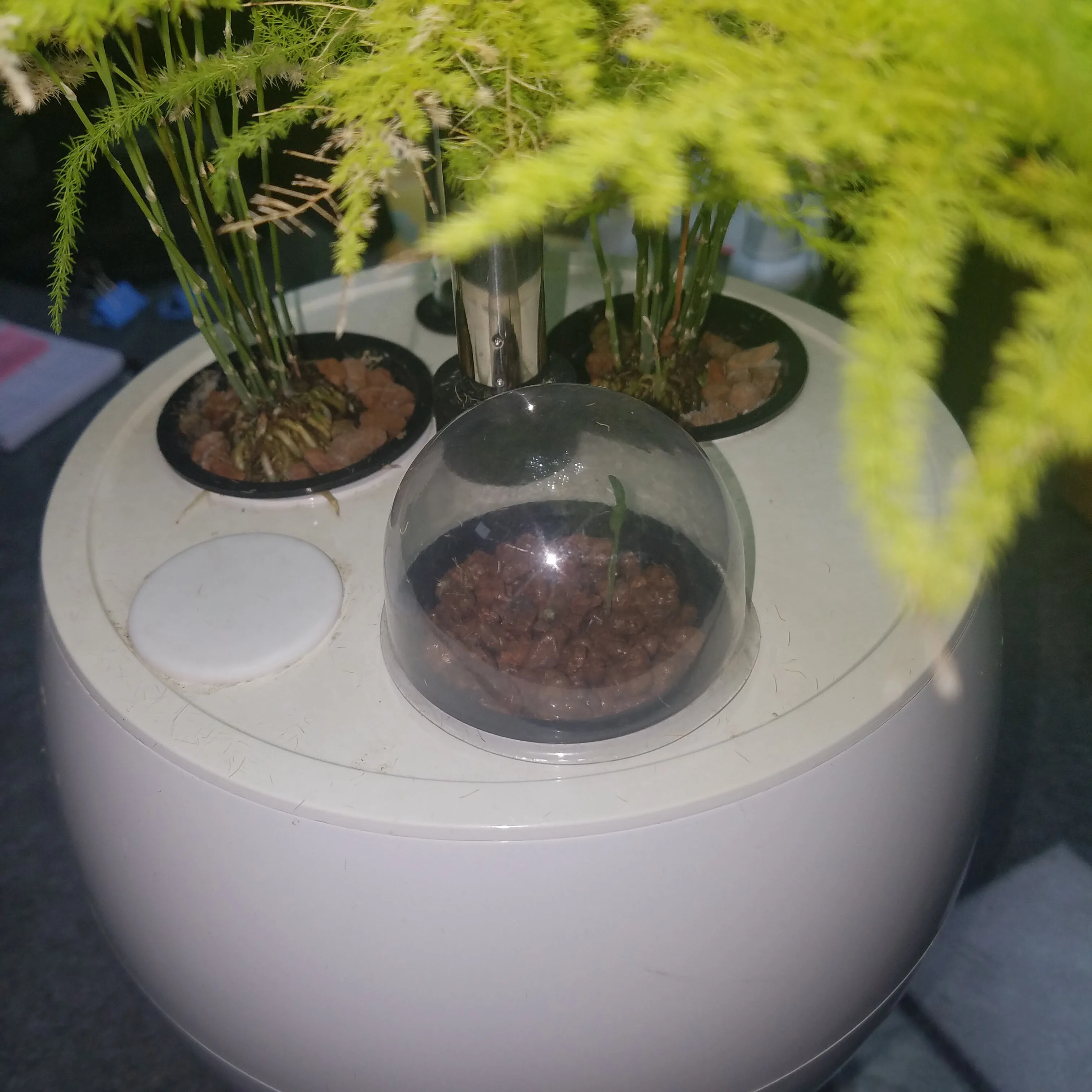 office mini green plant air purifier