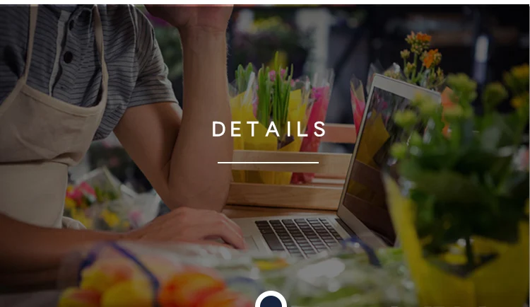 Rose Trellis (4).jpg