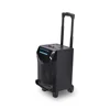 High quality with solid wood speaker unit 6.5''+3'' battery/karaoke/BT/USB/TF card/FM for wireless speaker BT portable