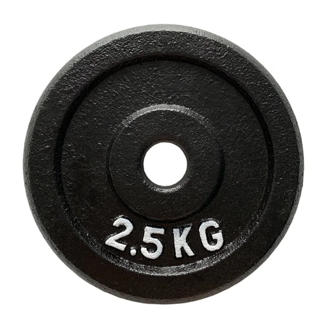 Black Paint Cast Iron Weight Plates 25kg Metal Dumbbells With Silver ...