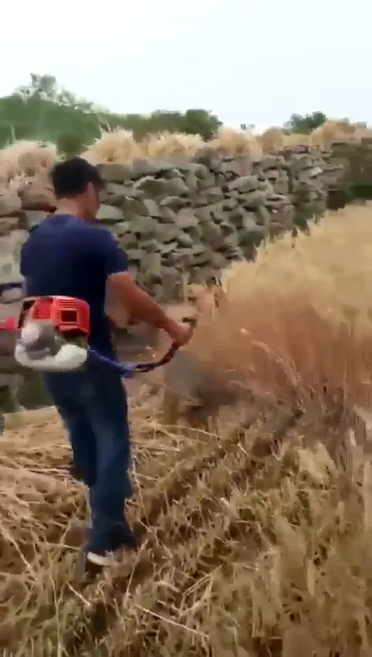 Multifunctional Knapsack Grass Brush Cutter Trimmers - Buy Knapsack Brush Cutter,Grass Trimmers,Rotary Grass Cutter Product on Alibaba.com Multifunctional Knapsack Grass Brush Cutter Trimmers - Buy Knapsack Brush Cutter,Grass Trimmers,Rotary Grass Cutter Product on Alibaba.com
