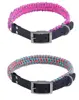 Pet Supplier Multicolor Weaving Nylon Braided Rope Traction Belt with PVC Chain Adjustable Loop Slip Dog Collar