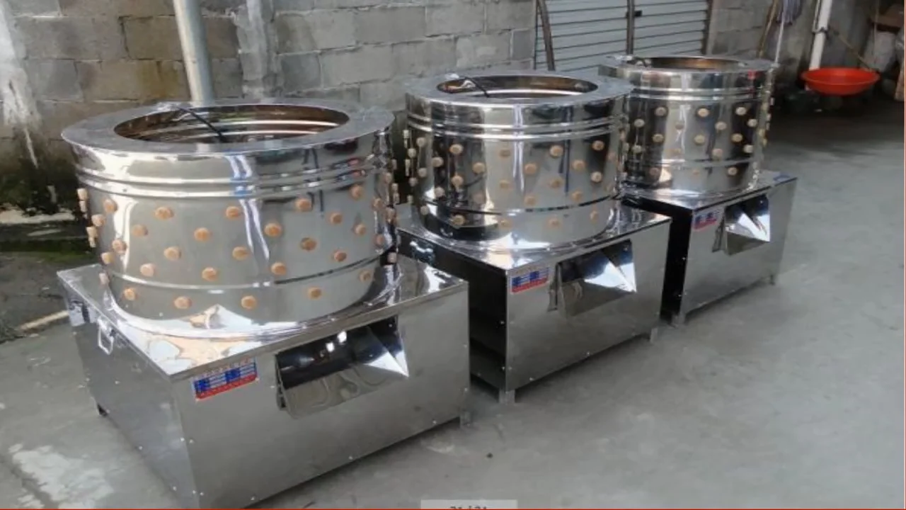 High Quality Chicken Slaughterhouse For Sale Buy Chicken