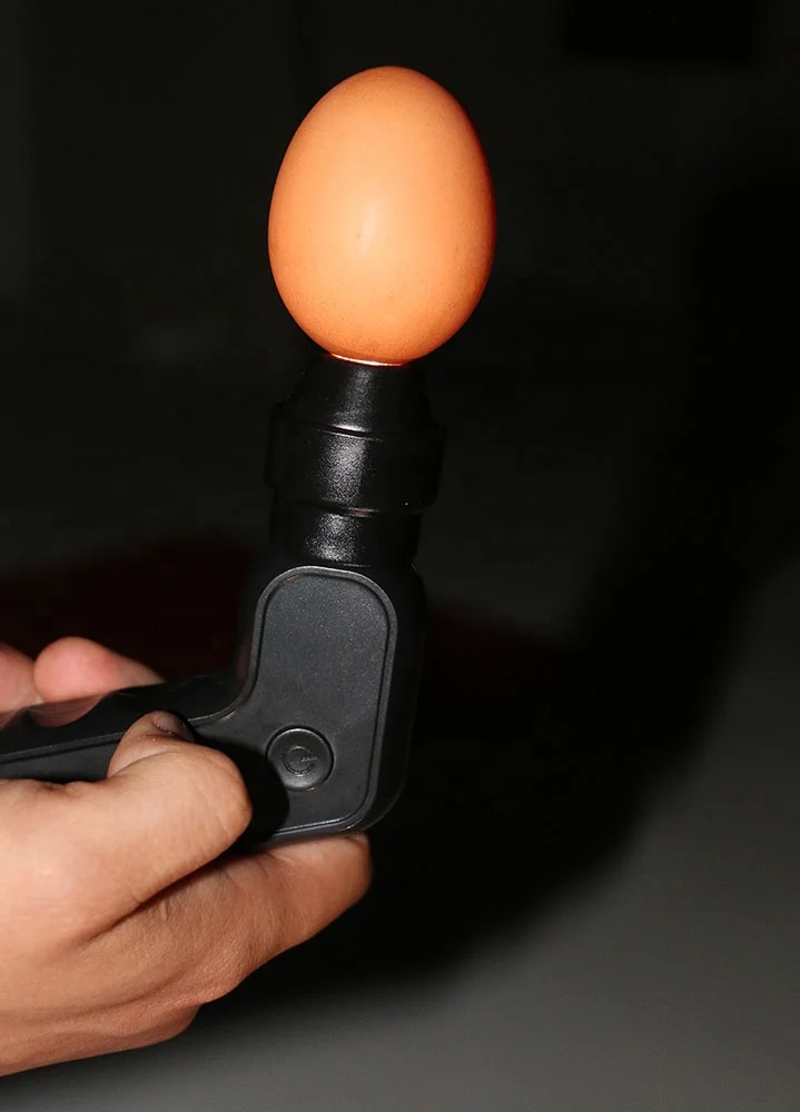 Egg Tester Or Egg Candle For Testing Egg Process Incubator Buy