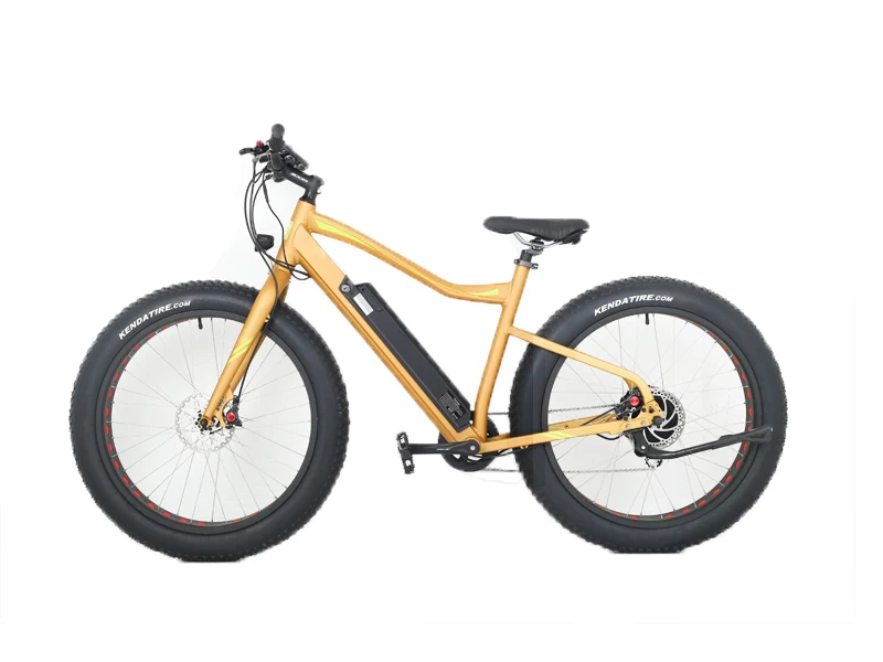 electric bike