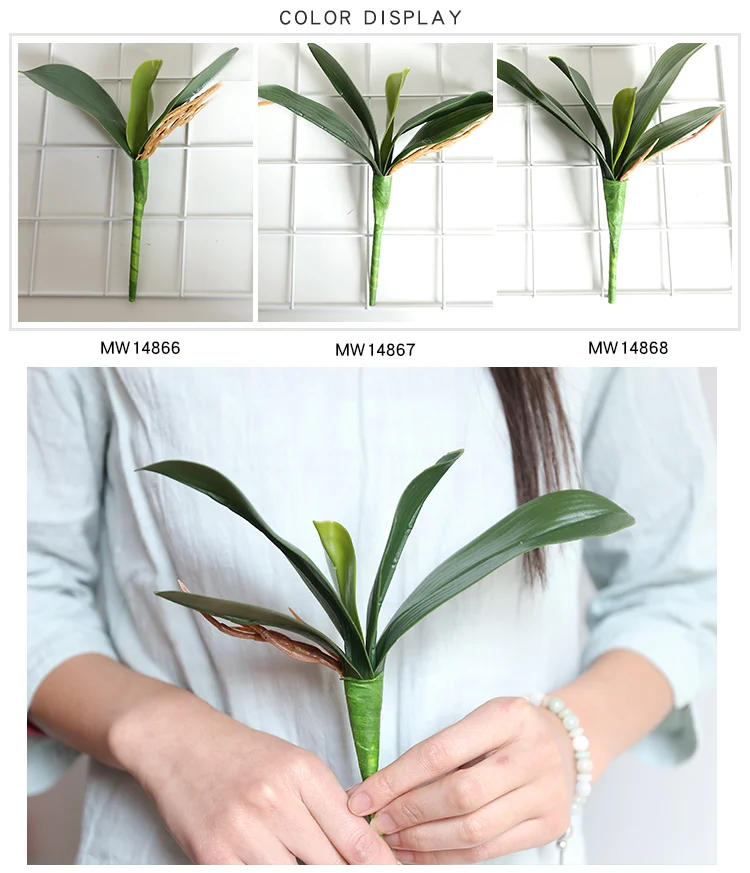 Artificial Orchid Leaves Phalaenopsis Orchids Leaves Real Touch Leaf
