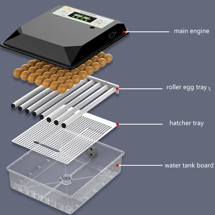 Poultry egg incubator function