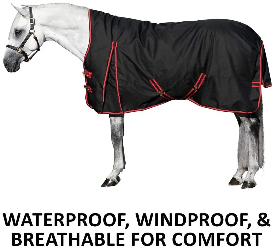
Horse Blankets-R1-Promotion Horse Blankets 