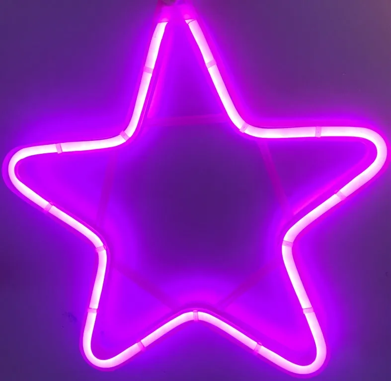 Snowflake Christmas Tree Decoration 12/24/120/240v Neon Rope Lights Led