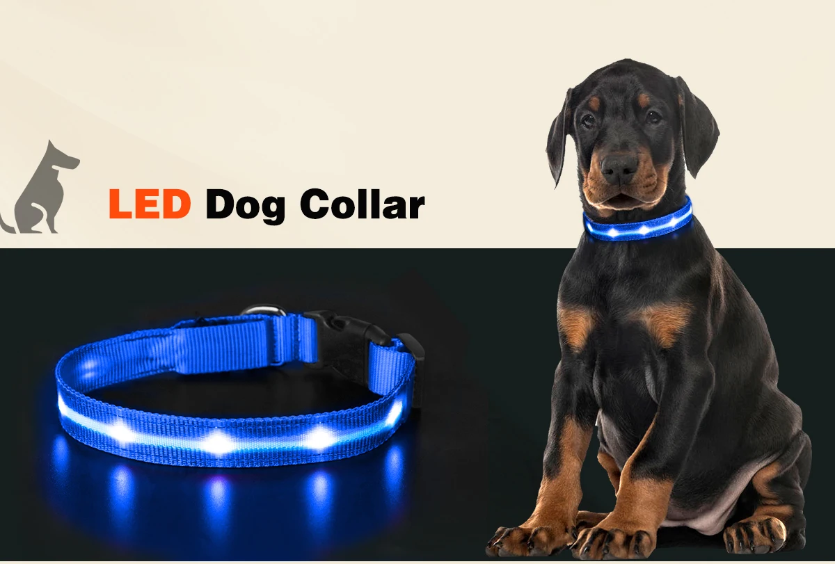 ticent dog training collar