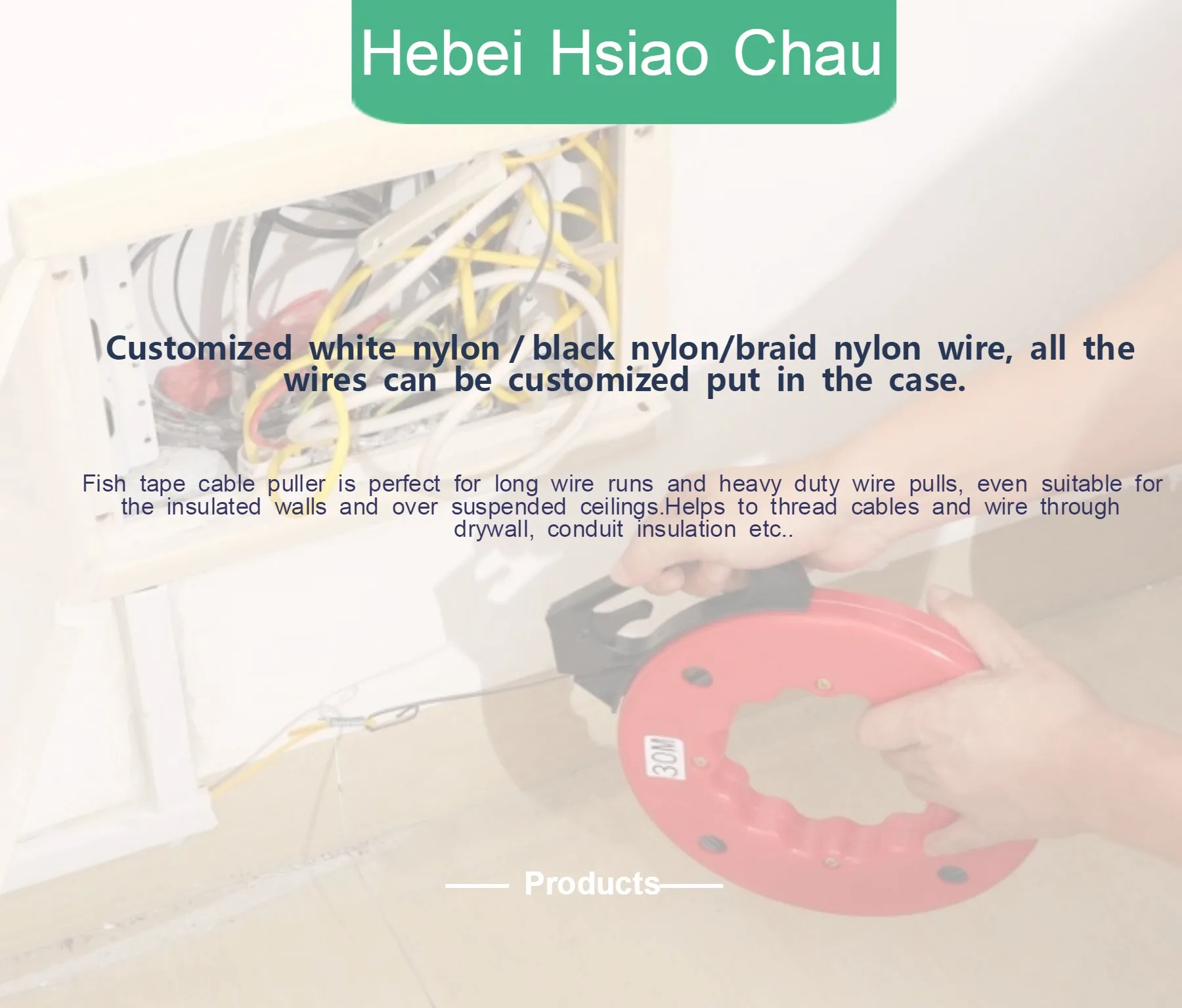 fish tape (1)