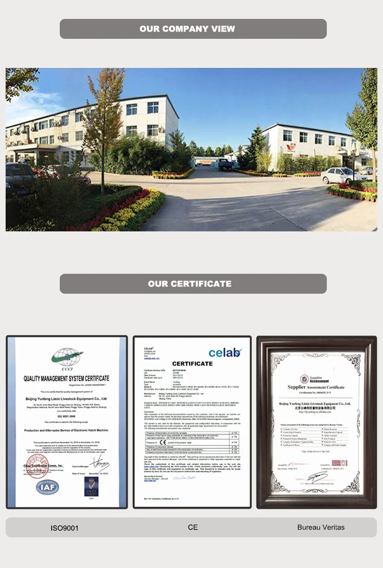 Company&certificae.png