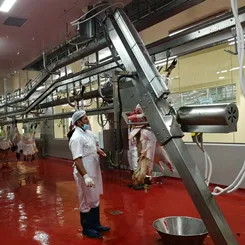 Industrial walk-in modular meat cold room at commercial lamb Slaguhterhouse