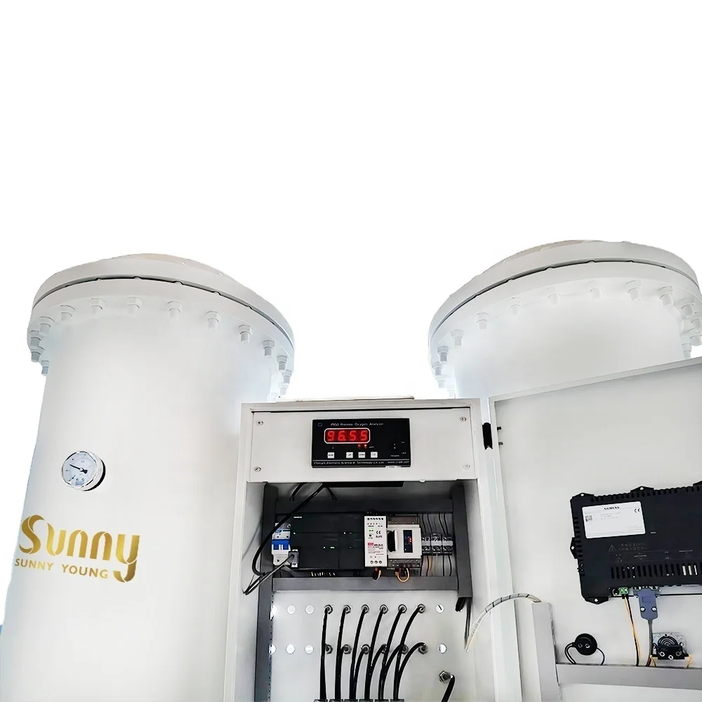 oxygen generators within a plant 93%+-#% supplier