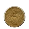 bitter melon extract powder/extraction of charantin bitter melon/bitter melon leaves extract