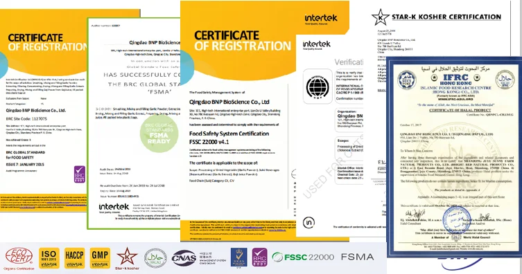 paste-pic-dp_uuid_2qkf0