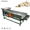 Garlic grader Grading Machine for Garlic Garlic Sorting Machine by size