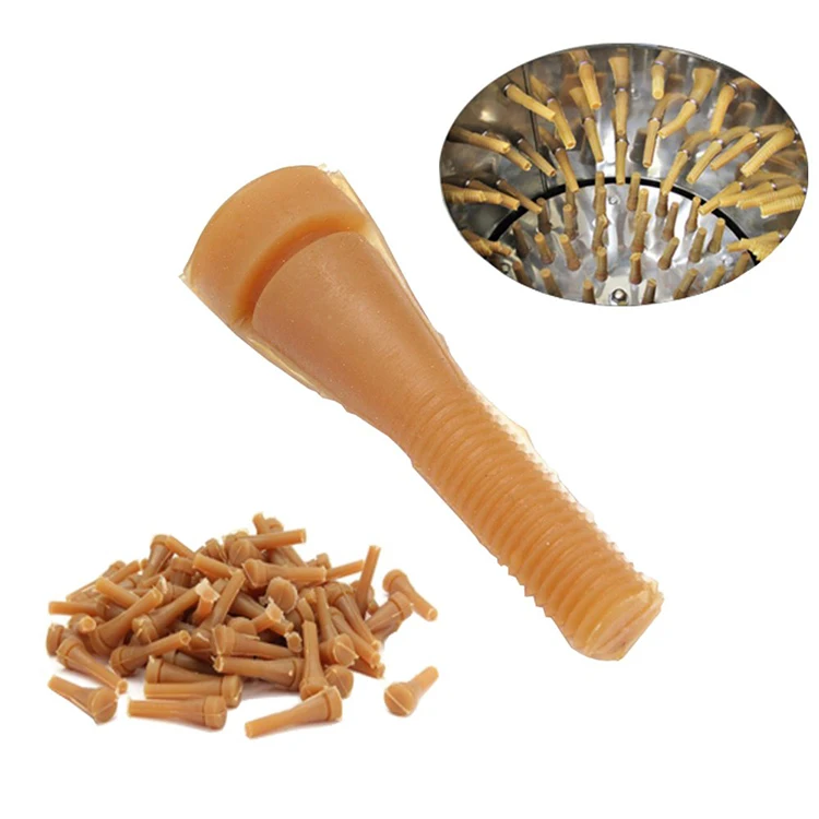 quails finger-07.jpg
