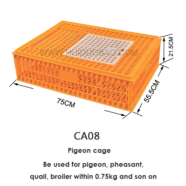 Transport Boxes For Pigeon,Cheap Price Pigeon Cage For Sale Agricultural Plastic Crates Buy