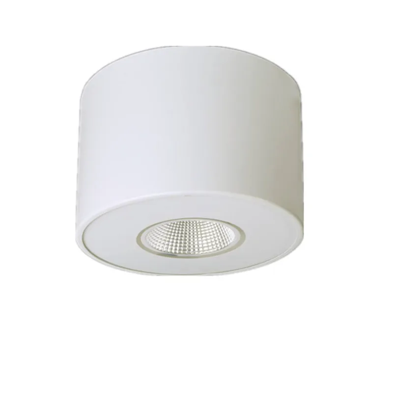 2020 Chinese Manufacturer 30w Lamp Accessories Round Housing Cylinder Surface Mount Led Down Lamp