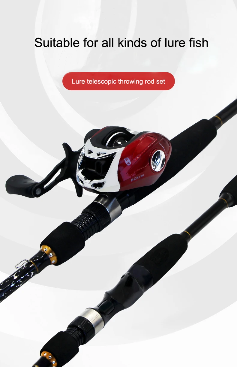 daiwa electric reel combo