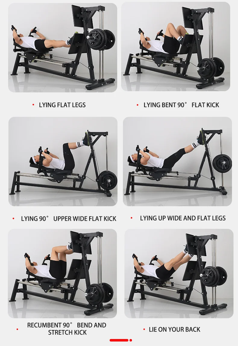 Scientific Design Commercial Gym Fitness Equipment Comprehensive ...