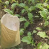 Potassium Polyacrylate Solid Rain Water Retainer for vegetables