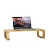 iMac MacBook LCD Display Printer Lapdesk Tabletop Organizer Sturdy Monitor Stand Riser