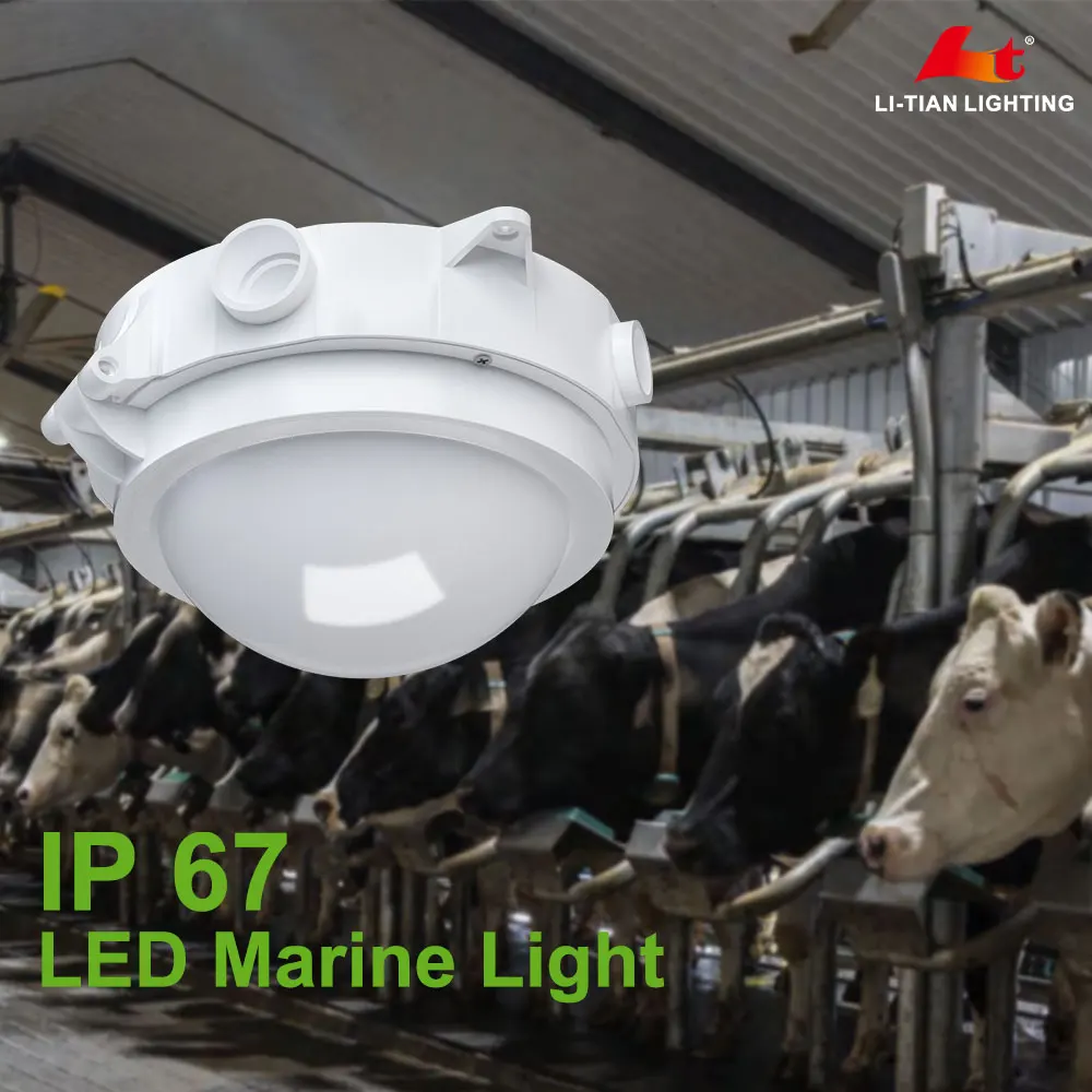 5 years warranty dlc premium 30w led canopy light 150lm/w led marin light ceiling lights IP67 waterproof