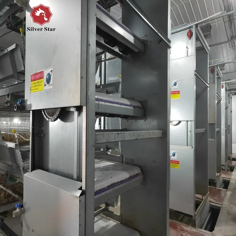 belt manure cleaning