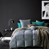 Globon Fusion Heavy Weight for Winter, 650 Fill Power, 100% Cotton Shell, Goose Down Duvet/ Comforter