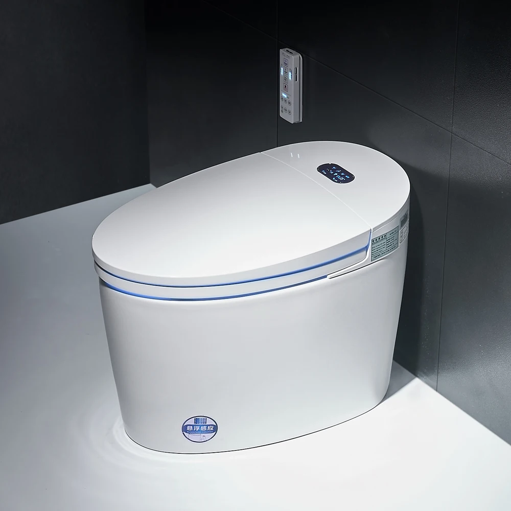 Sanitaryware One piece warm wash tankless smart toilet portable