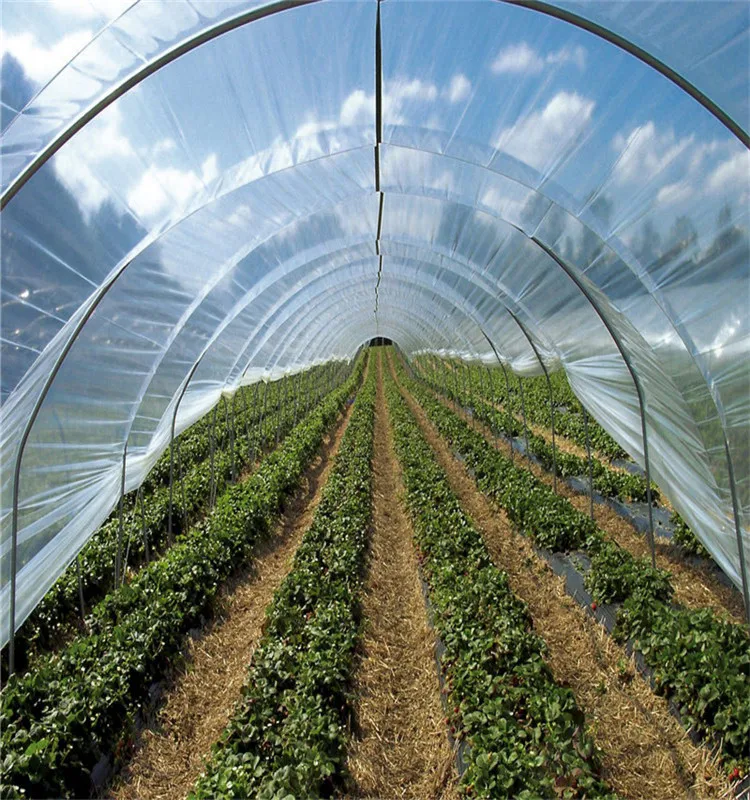 Uv Stabilized Greenhouse Plastic Film For Covering Buy Multispan