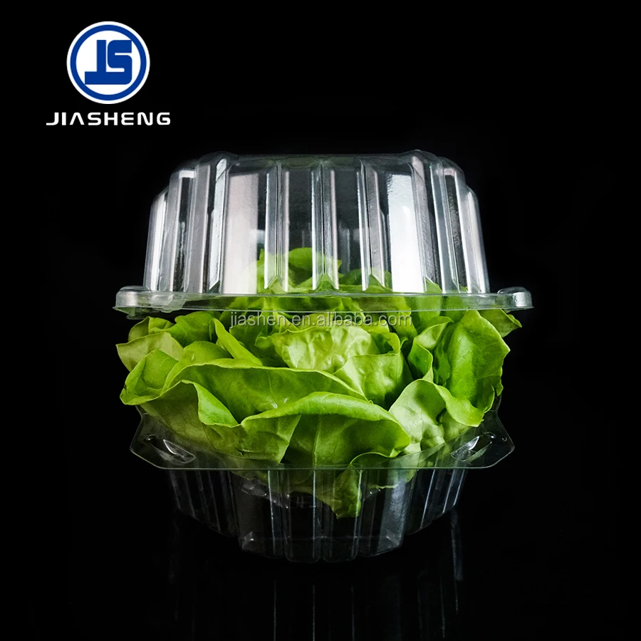 Hot Sale Pet Plastic Blister Lettuce Clamshell Packaging Buy Plastic