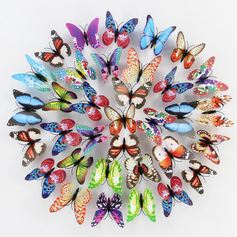 butterfly (1).jpg