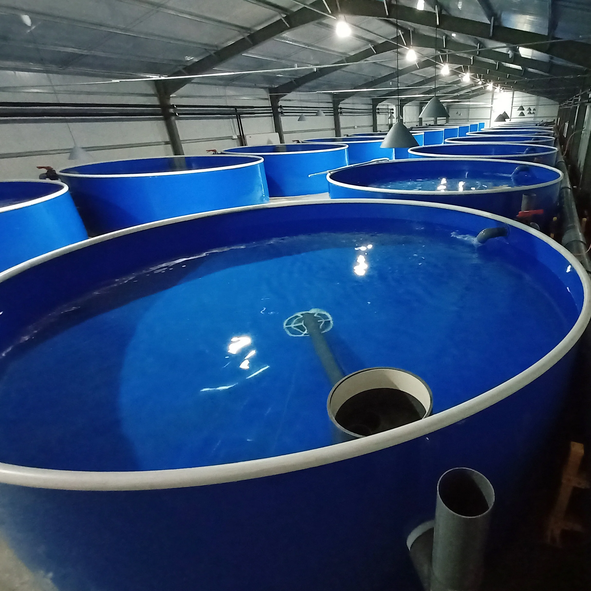 Aquaculture Application Filed And Indoor Ras Fish Farm Aquaculture