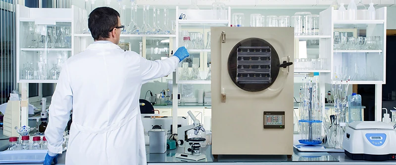 NADE TF-HFD-6 Mini-type Food Vacuum Lyophilizer/freeze drying equipment/freeze dryer