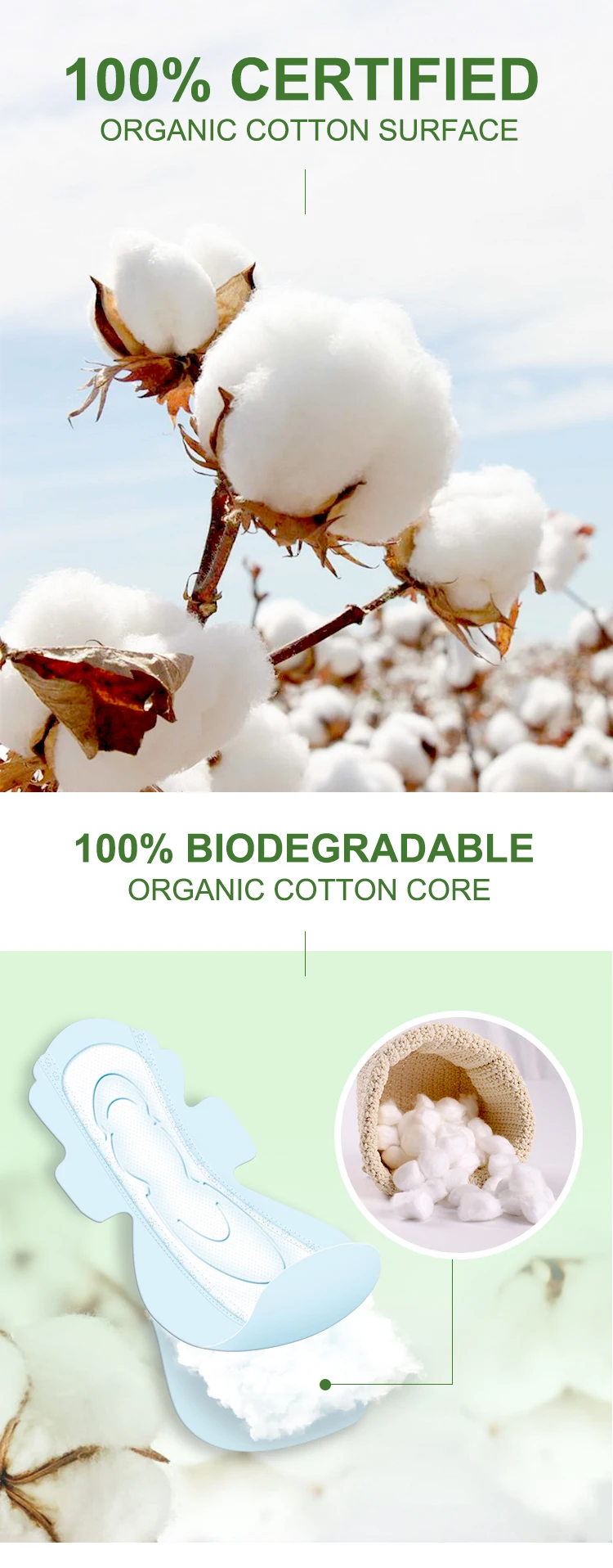 Ecofriendly 100 Biodegradable Sanitary Pads Organic Cotton