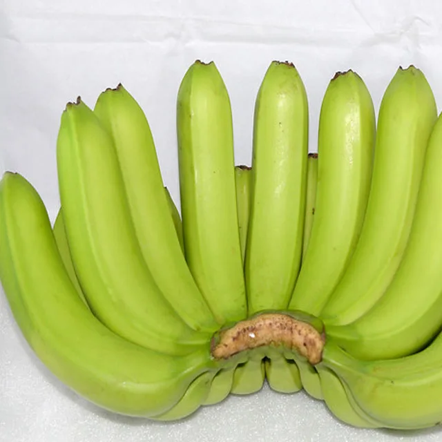 
SEASON 2020 fresh banana prices for sales origin from Vietnam 