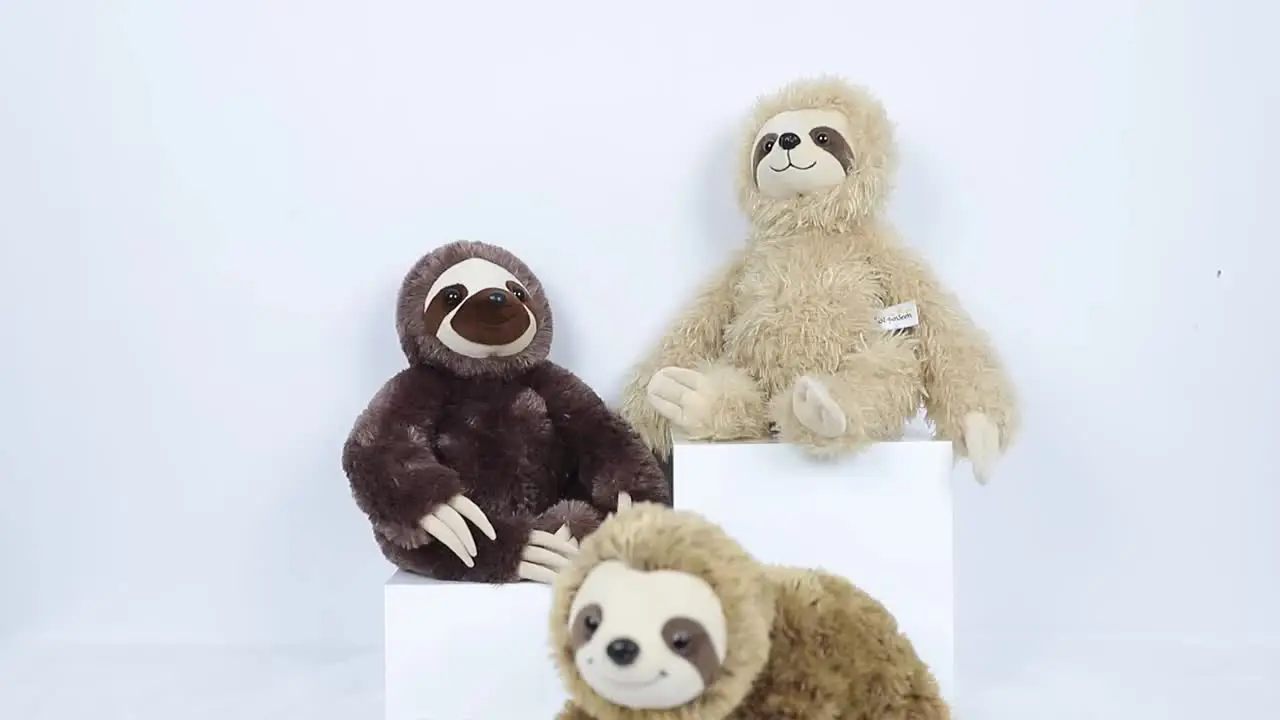 pet supplies nandog sloth bed